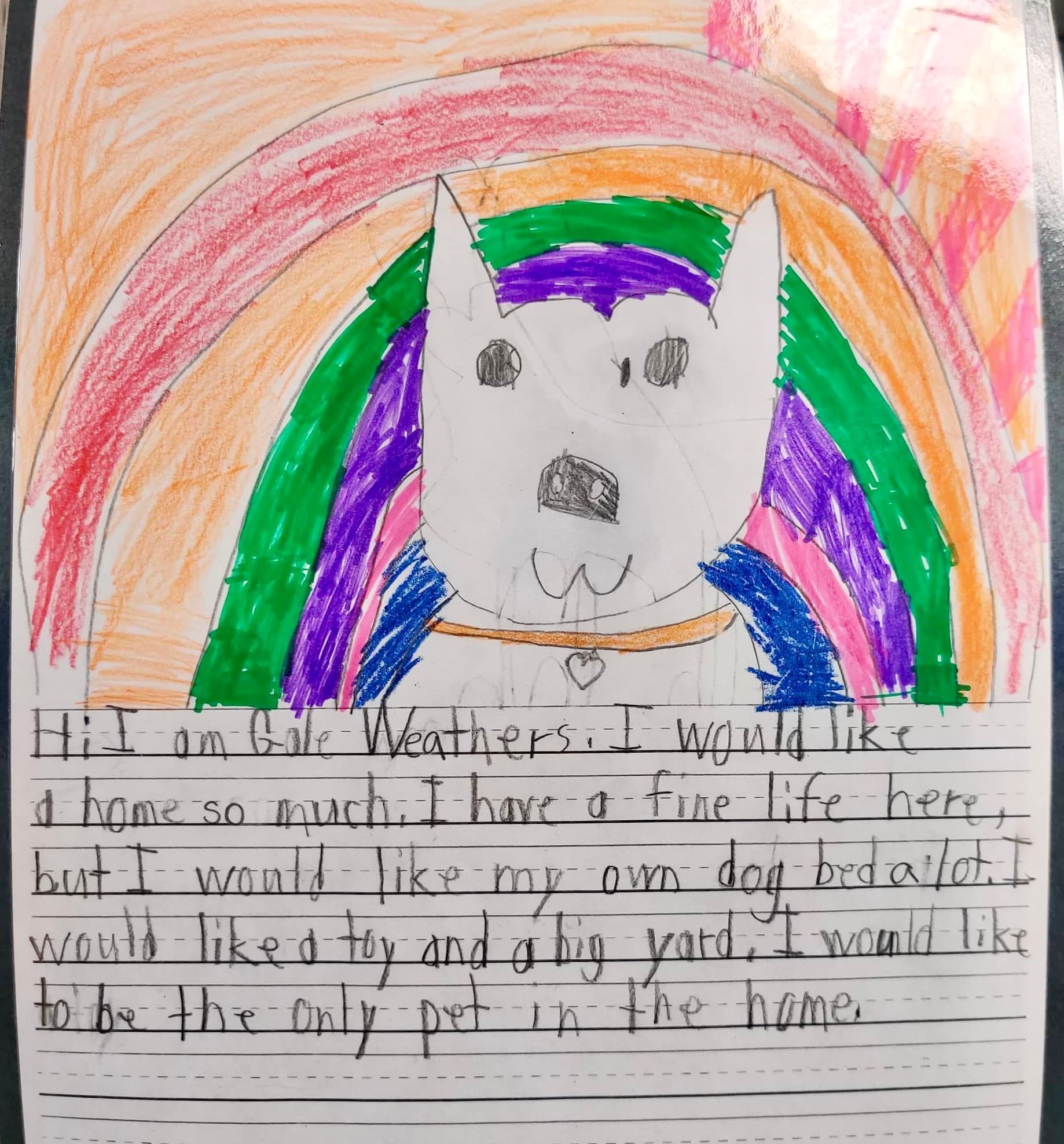 "Am I A Very Cute Dog?" 2nd Graders Write Adorable Letters To Get ...