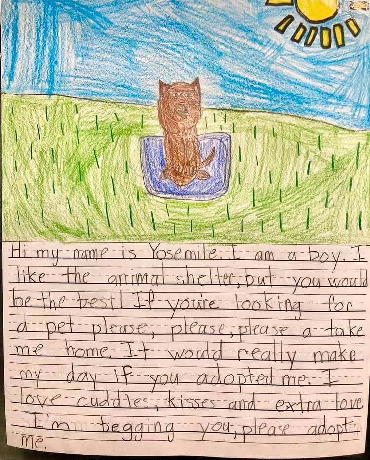 child's note for shelter animal