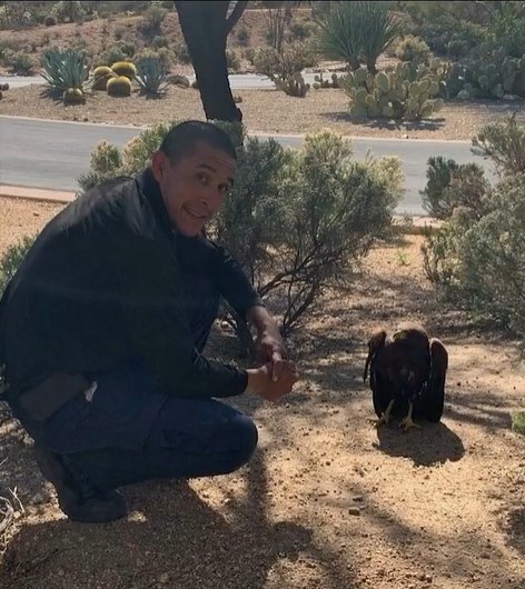 a man named steven gonzales squatting on the ground to pose for a photo with a hawk he just saved from a pool who is sitting on the ground near him as she looks up at him