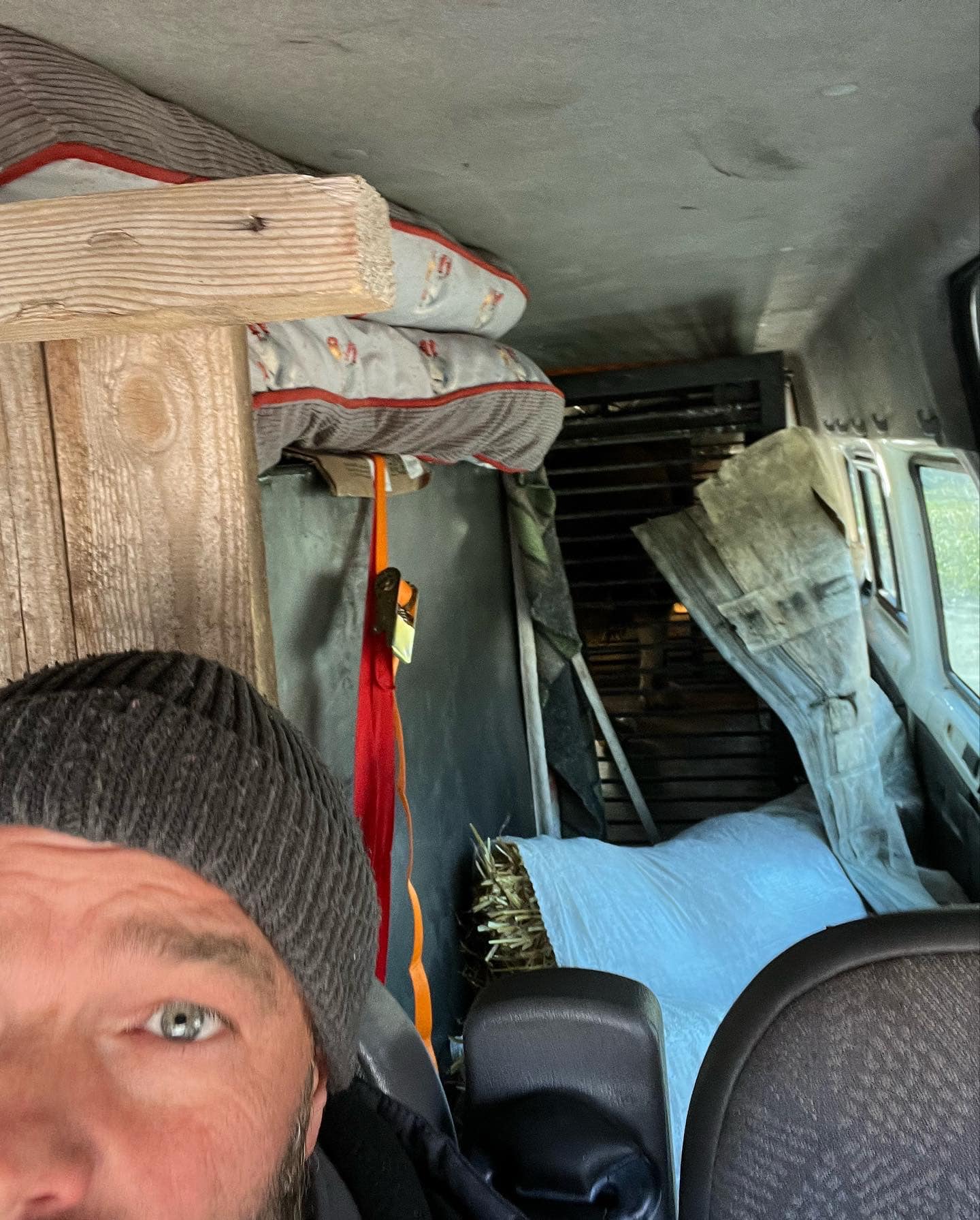 a man named tim locks taking a selfie from the front seat of his van with a focus on the cages containing a wolf named akela and a lion named simba 