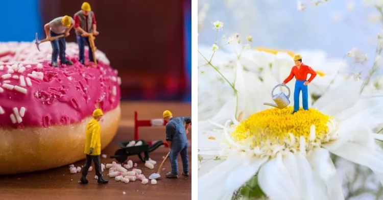 four miniature figurines mining a donut with pink icing for its sprinkles that was set up by peter csakvari and a single miniature figurine, that was also set up by peter, standing on top of a flower as it waters it