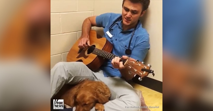 a veterinarian named dr. ross Henderson sitting on the floor as he plays a guitar and sings “can’t help falling in love” to a 6-month-old dog named ruby who has her head resting on his lap and is about to have surgery to get spayed