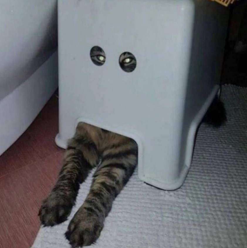 a cat sitting underneath a step stool as it looks out of the two circular holes on the side