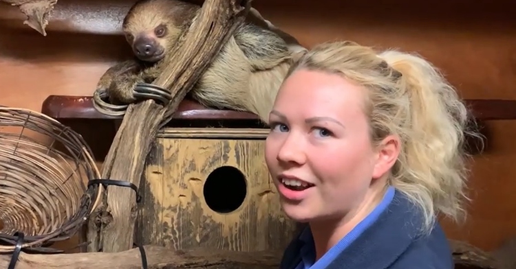 amelia jones talking as gordon the sloth peaks out from behind a branch he's holding onto.