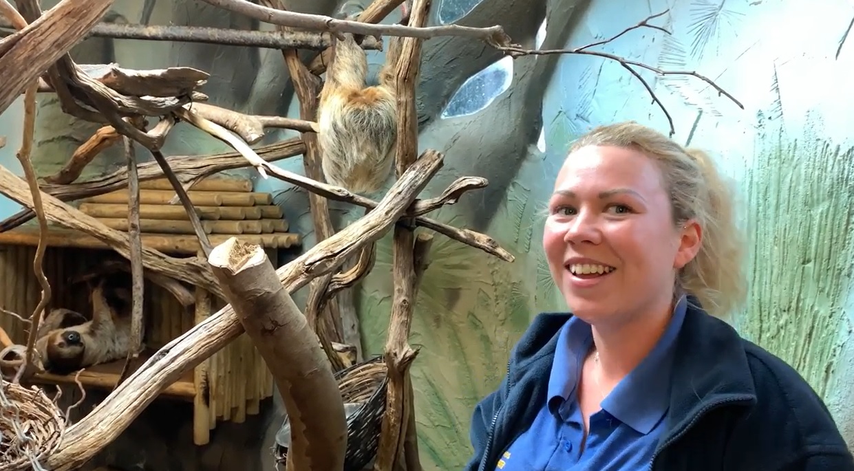 amelia jones smiling as gordon the sloth climbs on branches behind her.