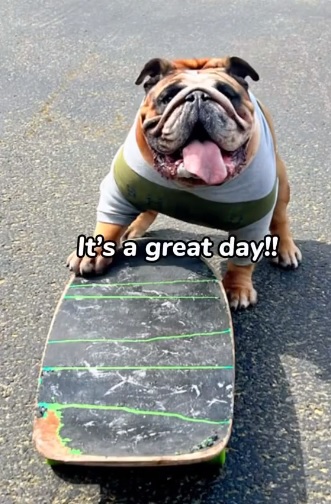 Chowder the skateboarding bulldog sticking his tongue out and holding his skateboard. there is text that says "it's a great day."