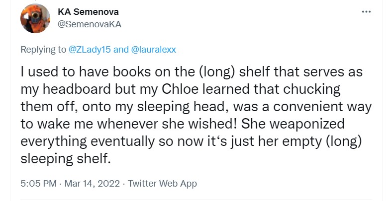 tweet from twitter user @semenovaka that reads "I used to have books on the (long) shelf that serves as my headboard but my chloe learned that chucking them off, onto my sleeping head, was a convenient way to wake me whenever she wished! she weaponized everything eventually so now it‘s just her empty (long) sleeping shelf."
