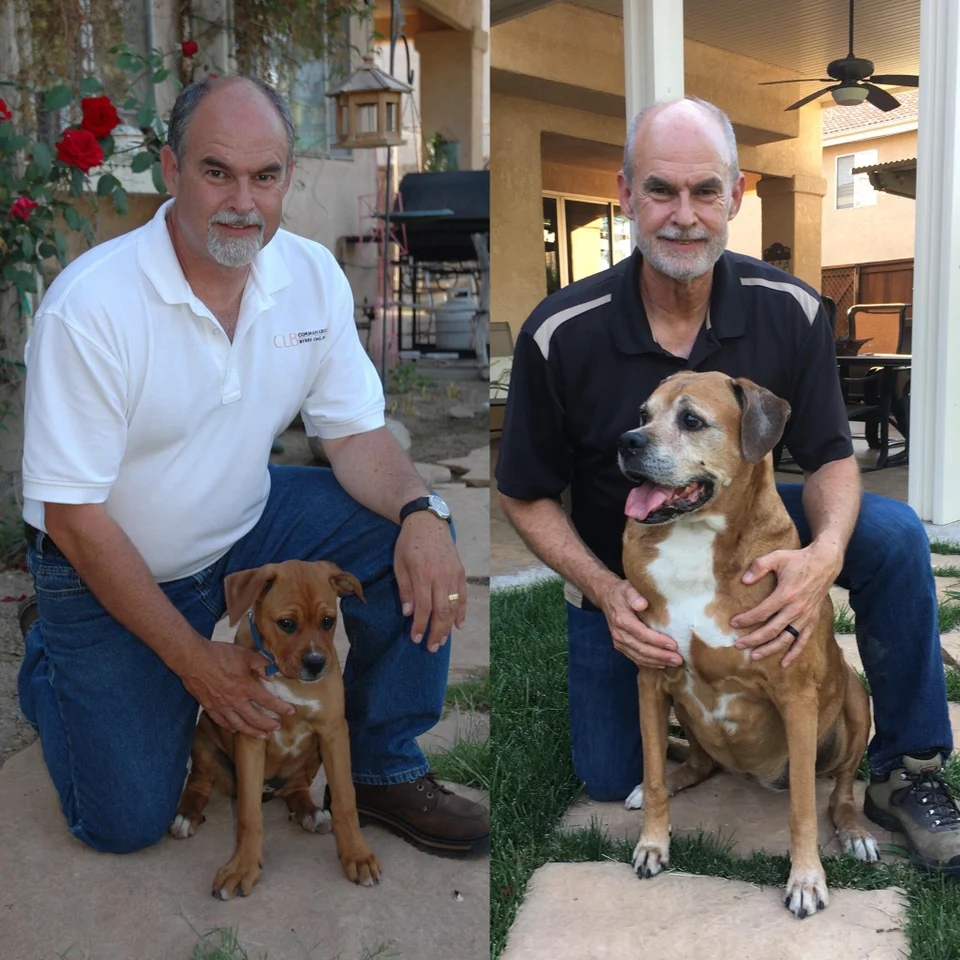 a two-photo collage. the first is of a man posing with his brown puppy. the second is of the same man recreating the first photo with the same dog 14 years later.