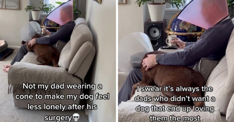 a two-photo collage both of which show a man wearing an e cone while sitting on a couch and petting a large, brown dog who is also wearing an e cone. the first is captioned “not my dad wearing a cone to make my dog feel less lonely after surgery.” the second is captioned “I swear it’s always the dads who didn’t want a dog that end up loving them the most.”