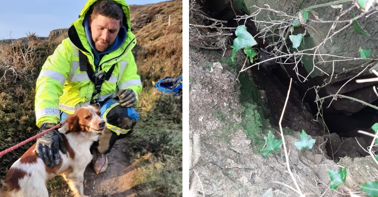 a two-photo collage. the first is of a rescue worker kneeling as he pets henry the dog. the second is of a top-down view of a fissure in cornwall, england that henry the dog fell into.