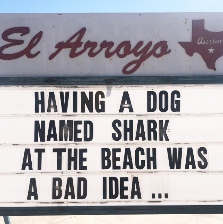 el arroyo marquee that reads "having a dog named shark at the beach was a bad idea ..."