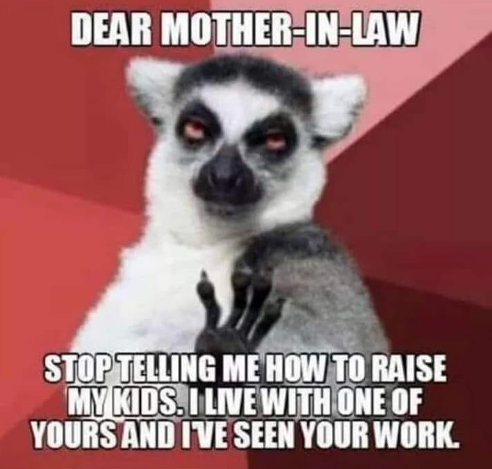 lemur meme. it includes a lemur with its paw raised. it's captioned with "dear mother-in-law. stop telling me how to raise my kids. I live with one of yours and I've seen your work."