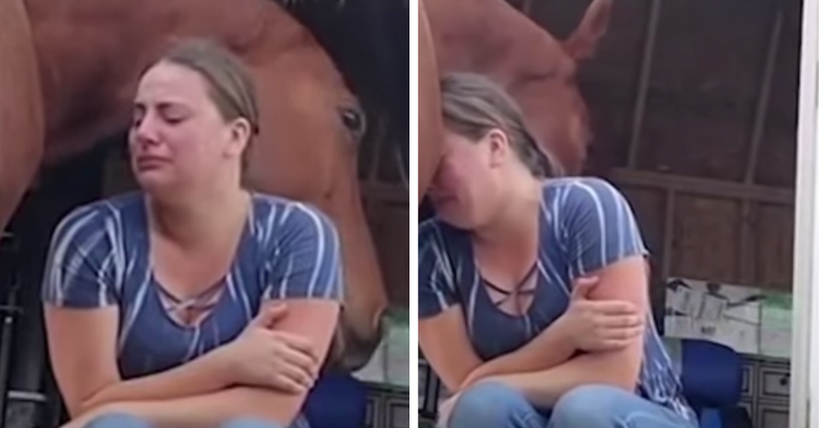 horse comforts his owner in tears