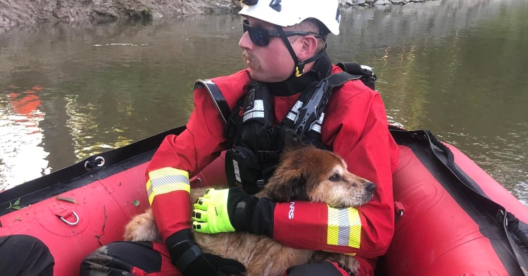 a firefighter from the knightdale fire department sitting in a boat on the nesue river. he is holding a dog they just rescued from the river.