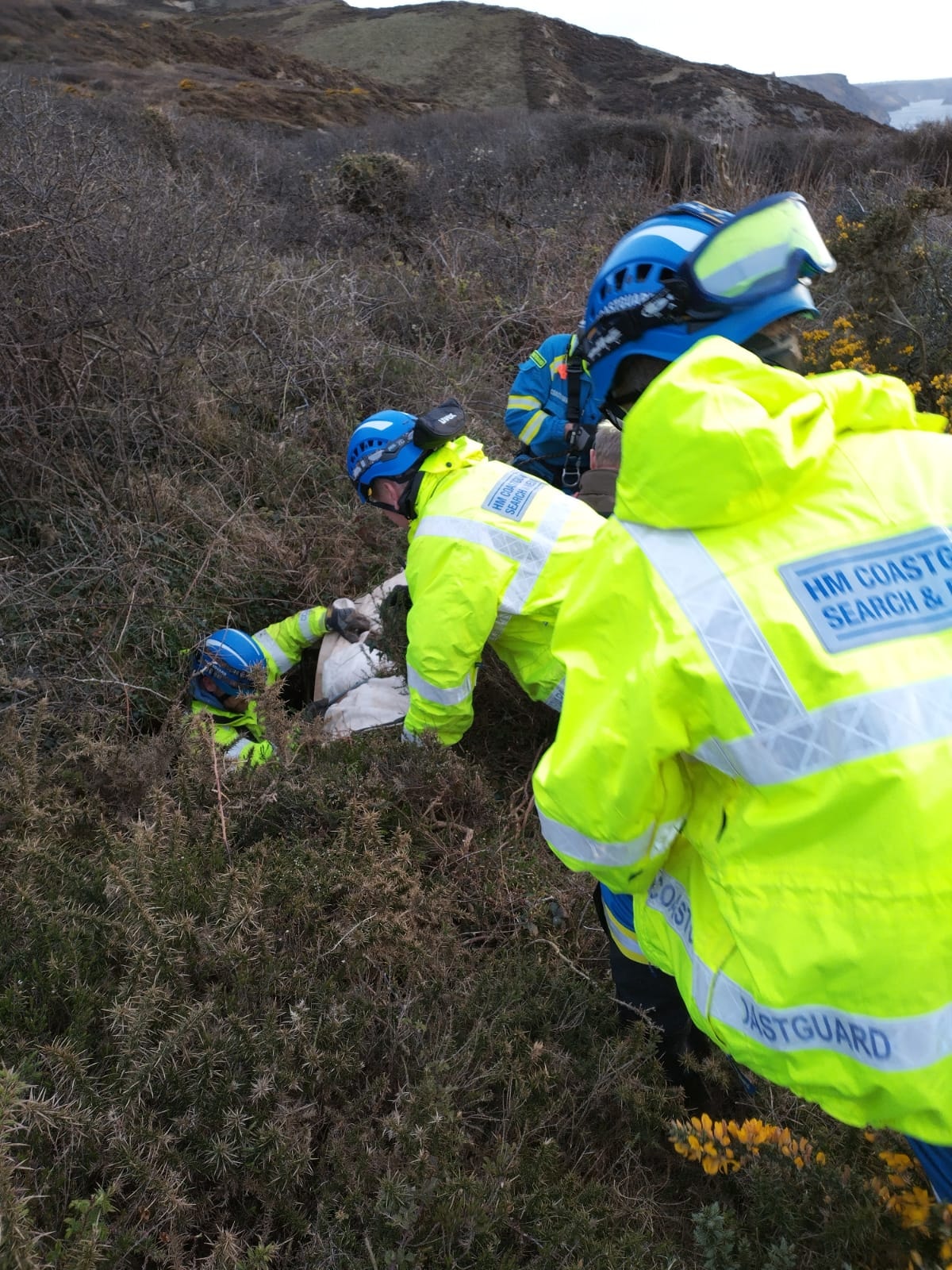 team of rescuers lined up outside as one of them goes into the fissure that henry thee dog fell into.
