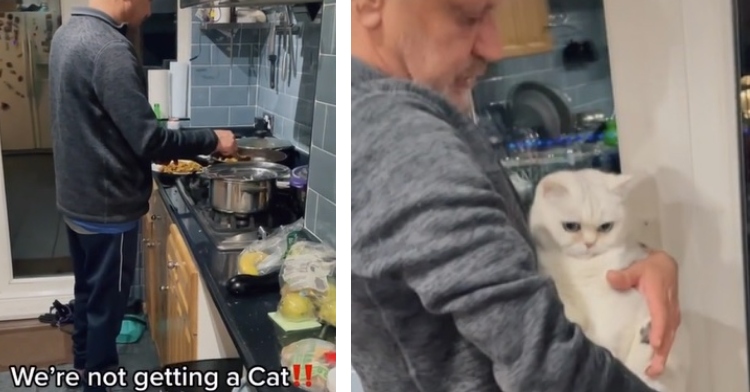 two-photo collage. on the left there is a picture of dad cooking and saying he doesn't want a cat. on the right there is a picture of this same dad holding and loving a little white cat.