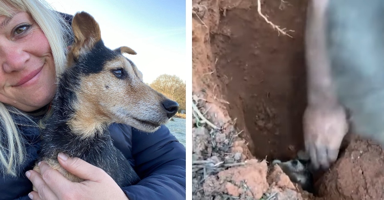 two-photo collage. on the left there is a picture of flossie and her owner bracken. and on the right there is a picture of where they rescued flossie from.