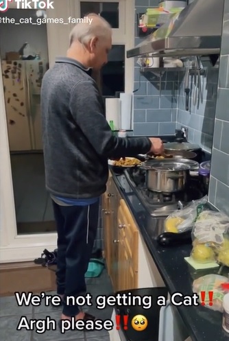 screenshot of a video that shows a dad cooking in the kitchen saying he doesn't want a cat