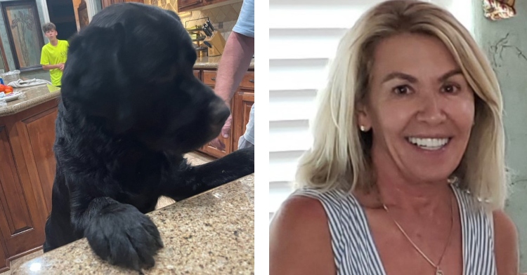 a two-photo collage. the first is of max the dog standing up and leaning on a kitchen counter. the second is of sherry noppe smiling.