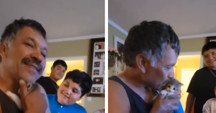 two photo collage of dad holding and kissing his new kitten