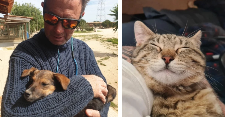 a two-photo collage. the first is of a man wearing sunglasses looking down at the dog he's holding who looks very comfortable. the second is a closeup of a cat smiling as he sleeps in someone's arms.
