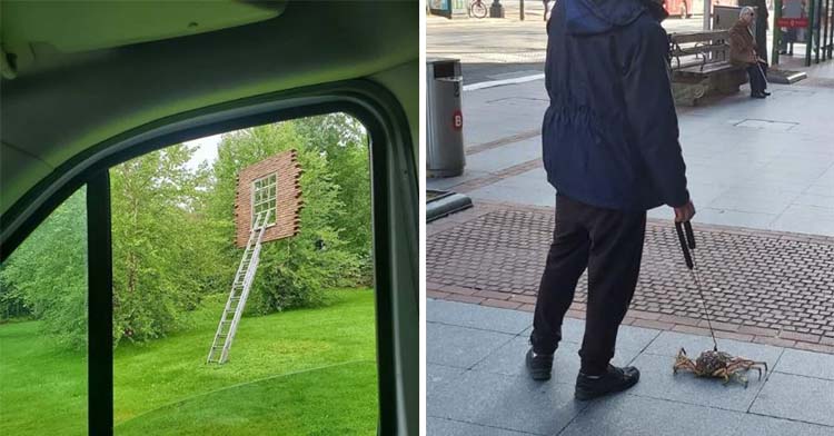 a two-photo collage, the first is of a window that appears to be floating in mid-air with a ladder. the second is of a man walking a crab on a leash.