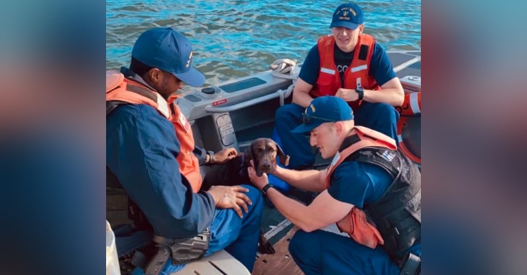 three u.s. coastal guards sitting on a boat with a dog named myla. two of them are sitting near and petting myla.