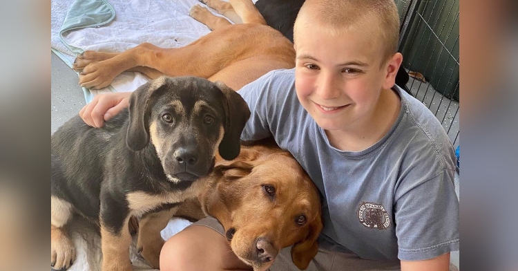 roman and two dogs that he rescued