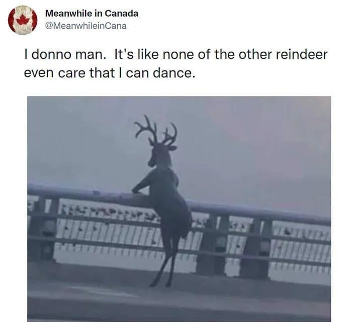 a meme with a picture of a reindeer looking at the horizon and a caption that says "i donno man. it's like none of the other reindeer even care that i dance."