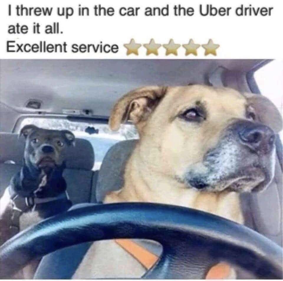 a meme that shows a picture of a dog in the driver seat and another one in the passenger seat and a caption that says "i threw up in the car and the uber driver ate it all. excellent service." 