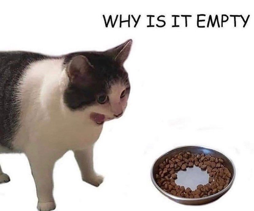 a meme with a picture of a cat looking surprised looking at his food bowl and a caption that says "why is it empty."
