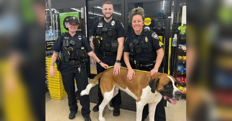 three bradenton police department officers smiling as they pose with 135 pound saint bernard, bentley inside a dollar general.