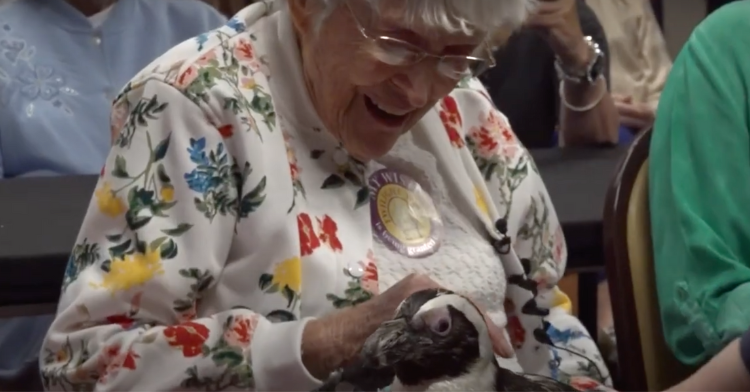 grandma smiling while petting penguin