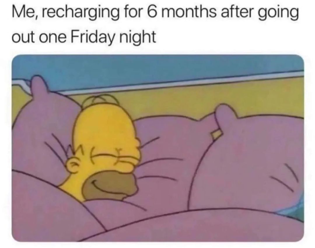 image of homer simpson sleeping with the caption "me, recharging for 6 months after going out one Friday night"