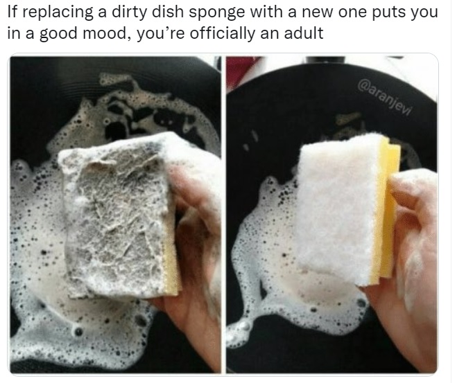 image of an old sponge and a new sponge with a caption reading "if replacing a dirty dish sponge with a new one puts you in a good mood, you're officially an adult"