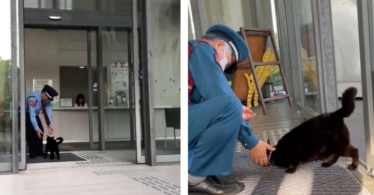 a two-photo collage of the security guard petting cats ken-chan and go-chan