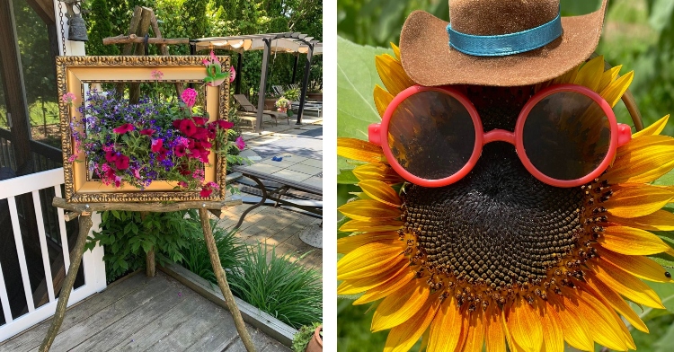 two-photo collage. on the left there is a picture of flower planter made of easel and on the right there is a picture of a sunflower with sunglasses and a hat