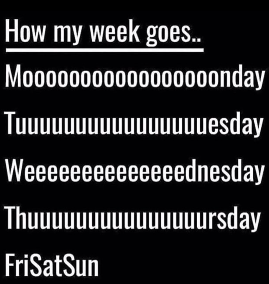 a meme that says "how my week goes.. mooooonday, tuuuuuuuesday, weeeeeednesday, thuuuuuursday, Frisatsun"