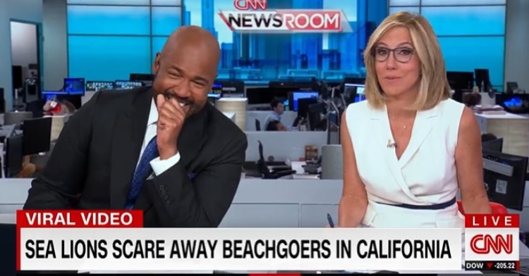 victor blackwell and alisyn camerota hosting “cnn newsroom.” blackwell is covering his mouth as he laughs. the bottom of the screen says “viral video. sea lion scares away beachgoers in california.”