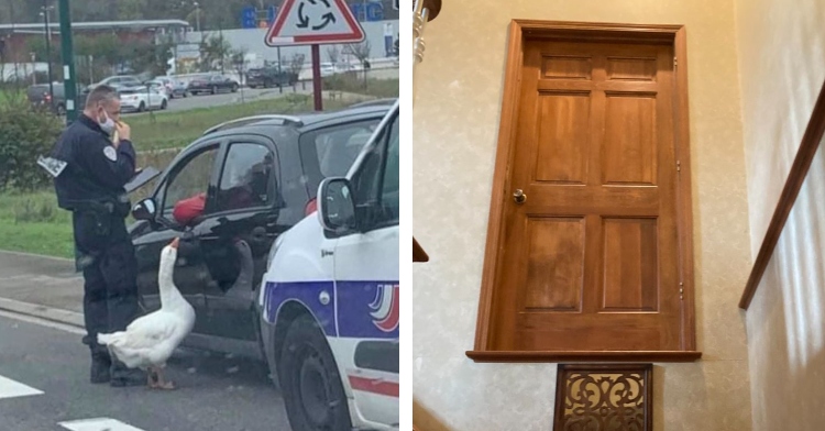 a two-photo collage. the first is of a police officer wearing a face mask standing outside of someone's vehicle that he pulled over. a goose stands next to him and is looking up at the open car window. the second is of a door in the middle of a wall, above a staircase, with seemingly no way to enter it.