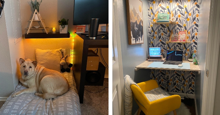 a two-photo collage. the first is a small space next to a table with a tv on it. in the space is a dog bed with a pillow and stuffed animal. on the bed is a large dog. above the bed is a small, black shelf with two different plants and a small candle. the second is a small hall closet turned into a tiny office with a floating shelf, a yellow chair, an blue, yellow, and white accent wall, and two wall shelves. there's a painting on the left wall, a laptop on the desk, and a lit up sign that reads "the tiniest office."