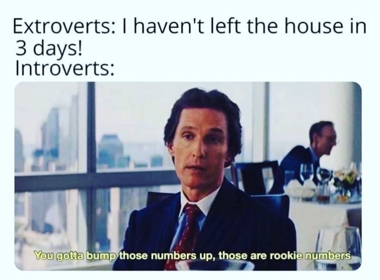 image of matthew mcconaughey saying "you gotta bump those numbers up, those are rookie numbers" captioned with "extroverts: I haven't left the house in 3 days! introverts:"