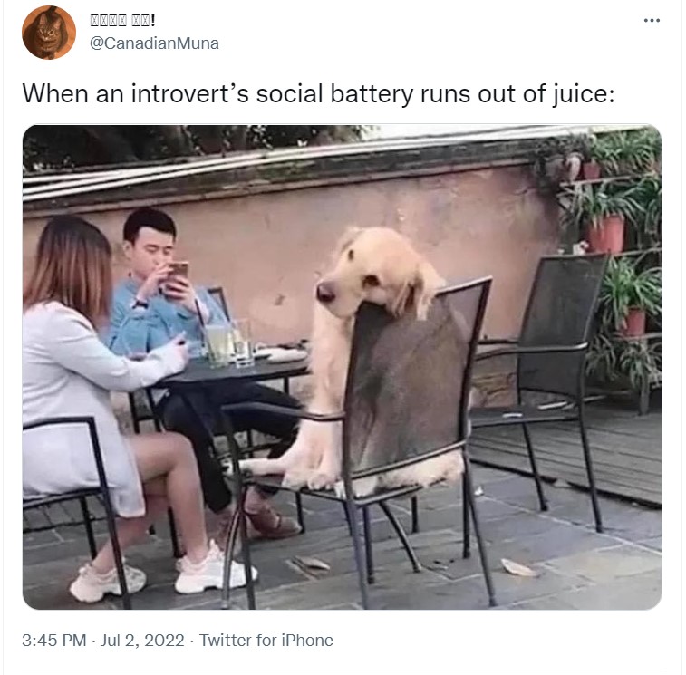 tweet from @canadianmuna that reads "when an introvert's social battery runs out of juice:" followed by an image of two people and a dog sitting at an outdoor table. the dog looks tired as he rests his head on the back of the chair he's sitting on. 