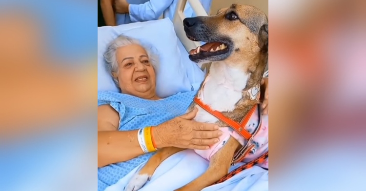 nezia smiling as lays in a hospital bed and pets her dog, tita, who is laying on her and smiling.