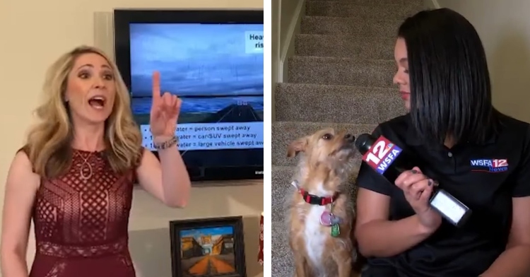 a two-photo collage. the first is of a meteorologist holding up a finger as she speaks sternly to a kid off screen. the second is of a new reports sitting on a staircase at home. her dog is sitting next to her and she’s holding her mic up to the dog’s mouth as she looks at them.