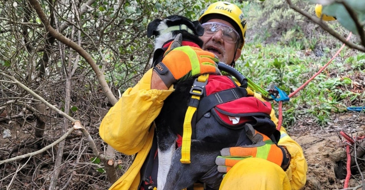 an emergency response team member sitting on the ground as he holds the dog they rescued, hobo, in his arms.