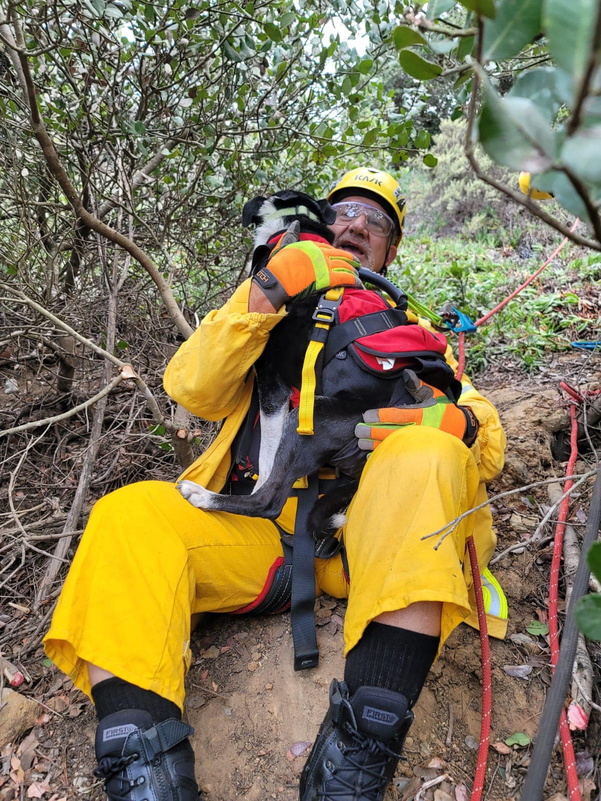 an emergency response team member sitting on the ground as he holds the dog they rescued, hobo, in his arms.