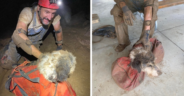 spelunker Rick Haley rescues lost dog from MO cave
