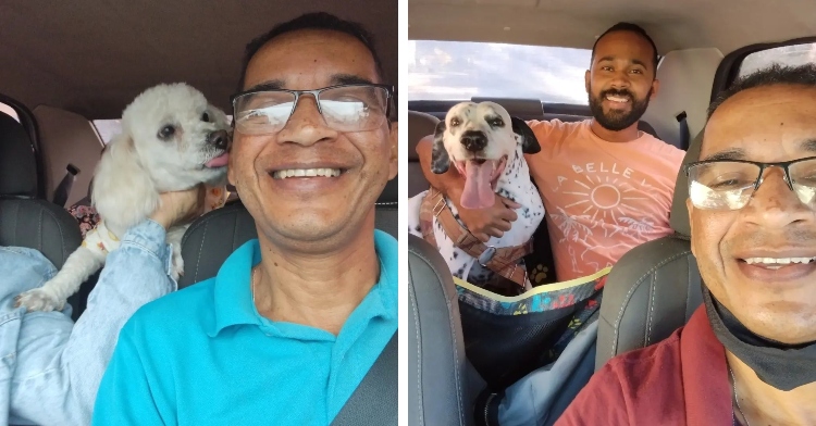 dog taxi driver Hamilton Taurino poses for selfies with furry passengers