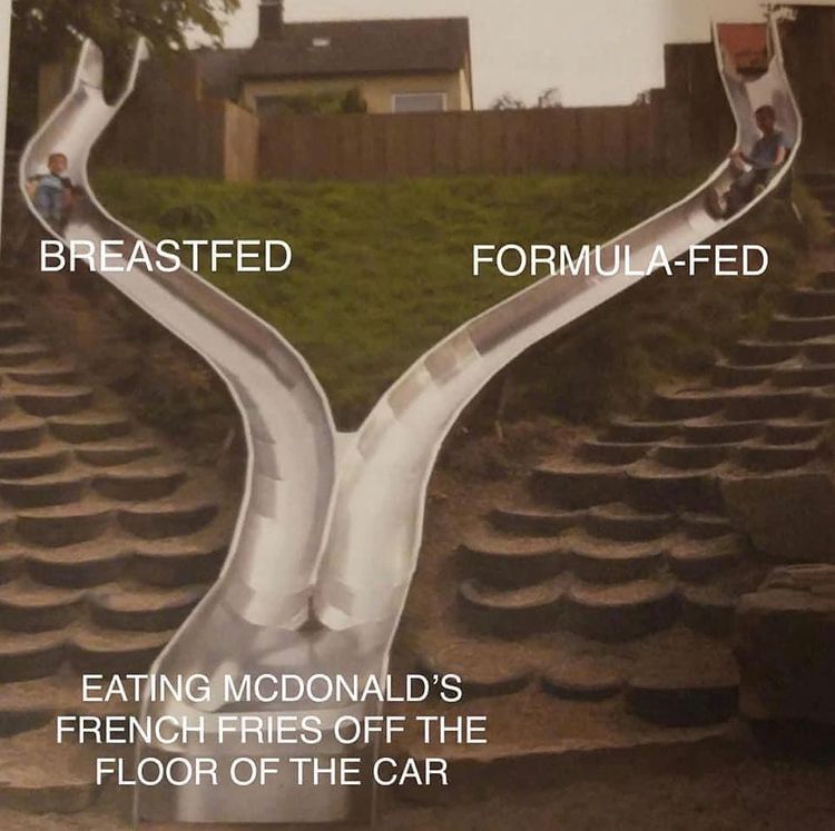 meme that shows two separate slides labeled breasted and formula-fed. Both slides lead to McDonald's.